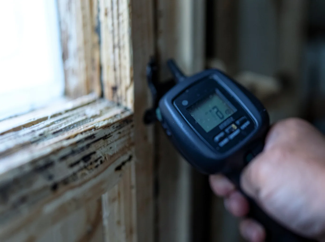Commercial Water Damage Restoration in Fort Davis, TX
